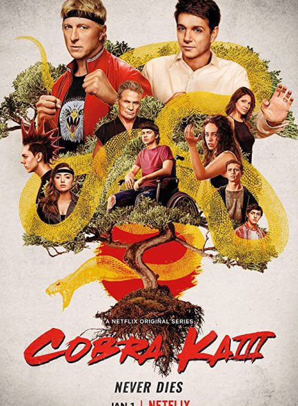 دانلود سریال Cobra Kai